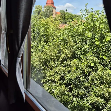 酒店 Hotel Wellness Radnice Dobrovice Dobrovice