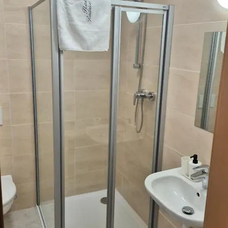 Hotel Wellness Radnice Dobrovice 酒店 *