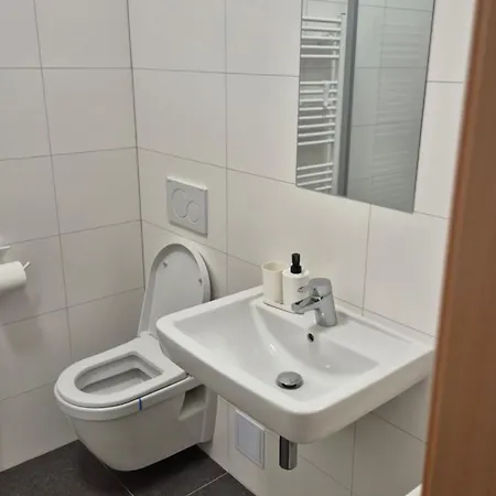 Hotel Wellness Radnice Dobrovice 酒店
