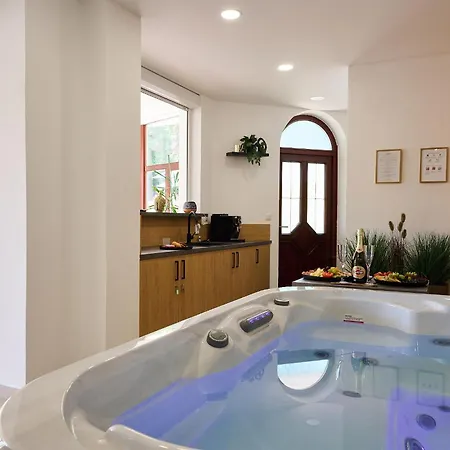 Hotel Wellness Radnice Dobrovice 酒店 Dobrovice