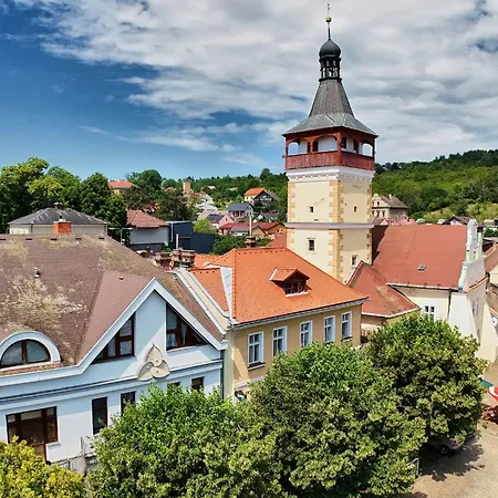 Hotel Wellness Radnice Dobrovice *